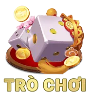 Các loại cookie khác nhau được 88king link mới sử dụng để bảo vệ dữ liệu người dùng