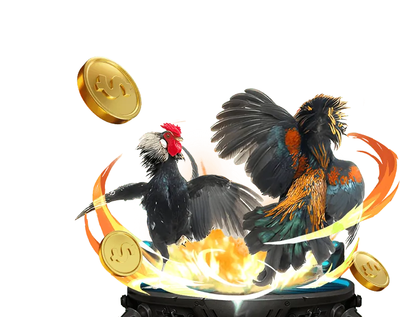 Trò chơi casino trực tiếp với người chia bài